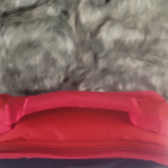 Red Sox Insulated Lunch Bag-NWT - Picture 4 of 9